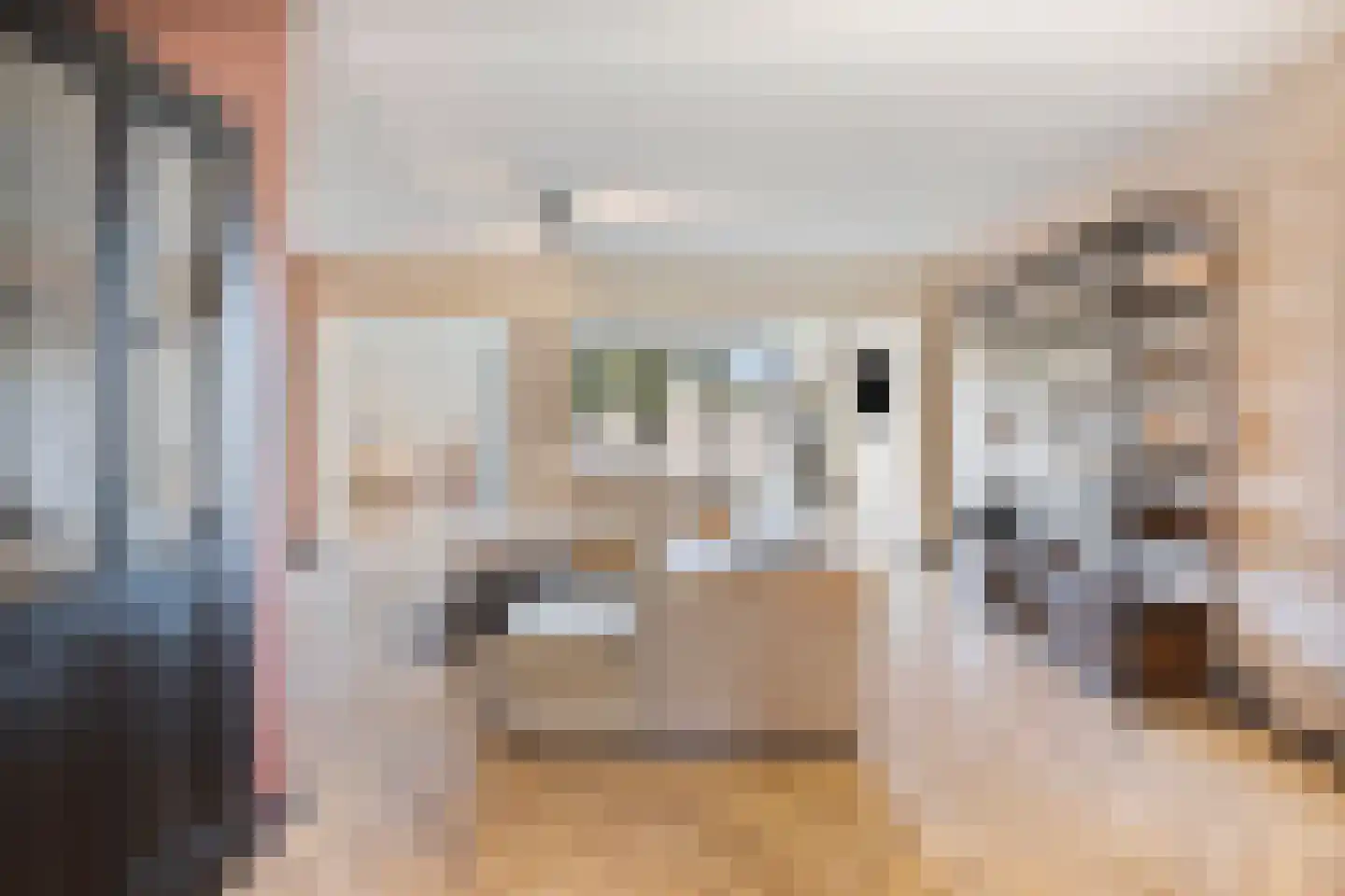 Schoorwal 45 Den Burg thumbnail 7