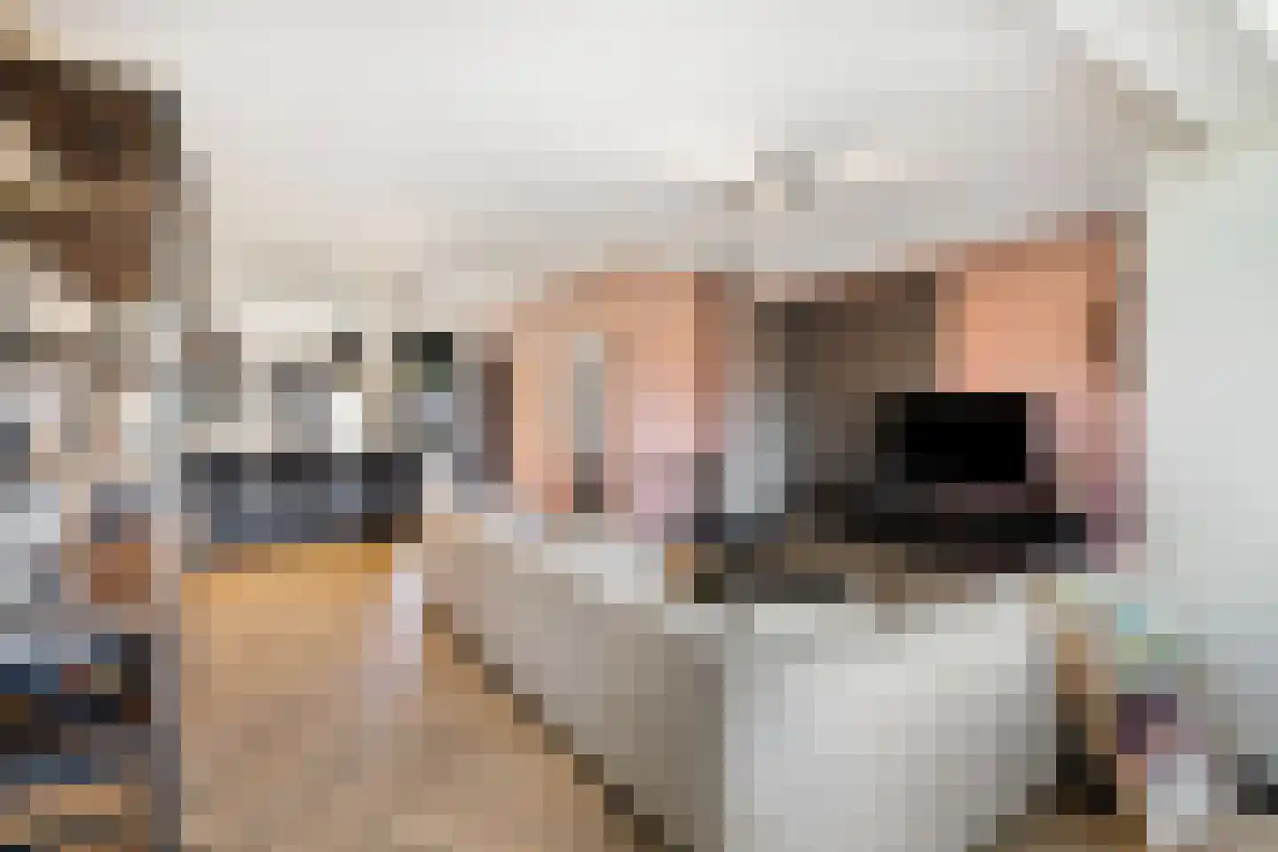 Schoorwal 45 Den Burg thumbnail 8