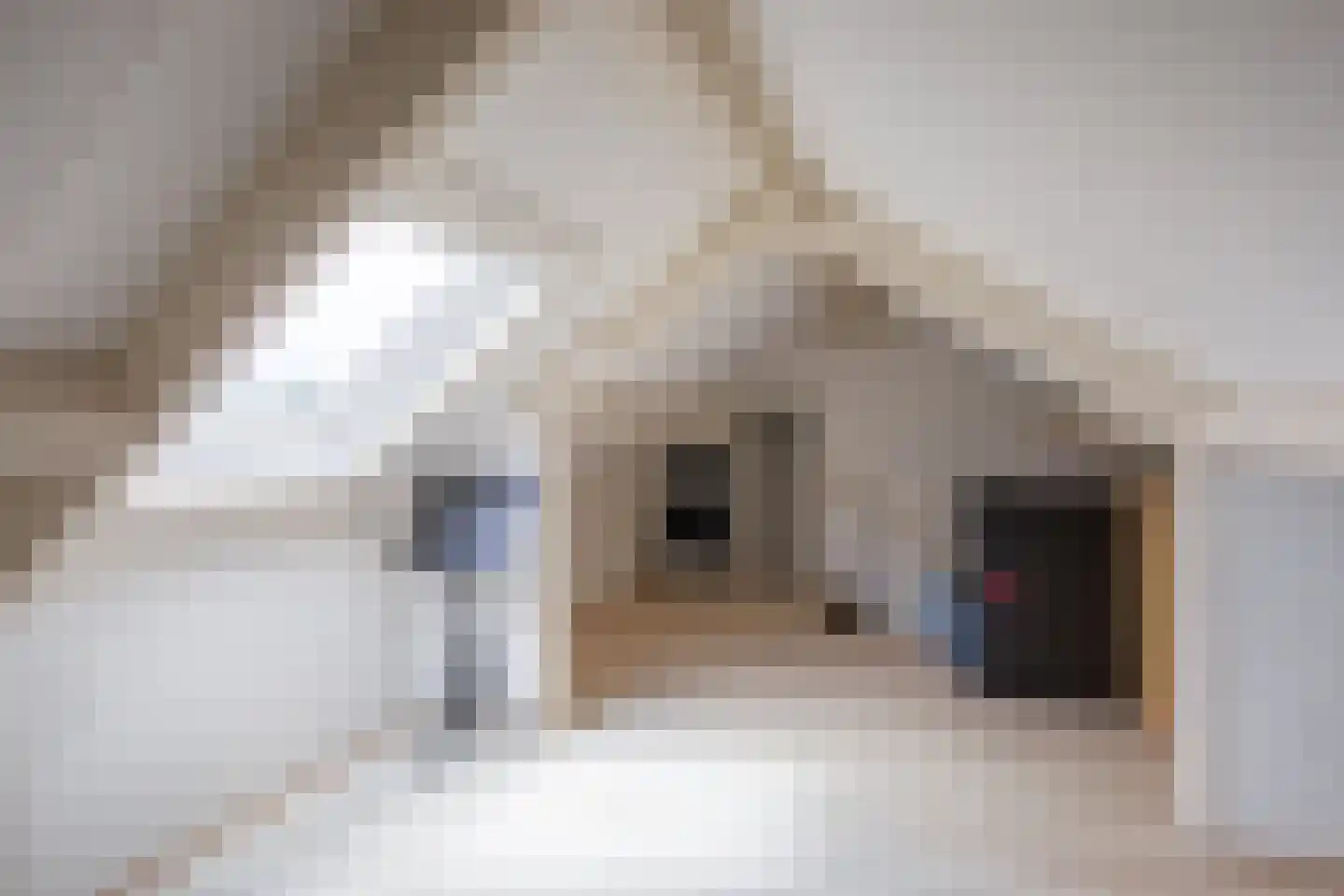 Schoorwal 9 Den Burg thumbnail 28