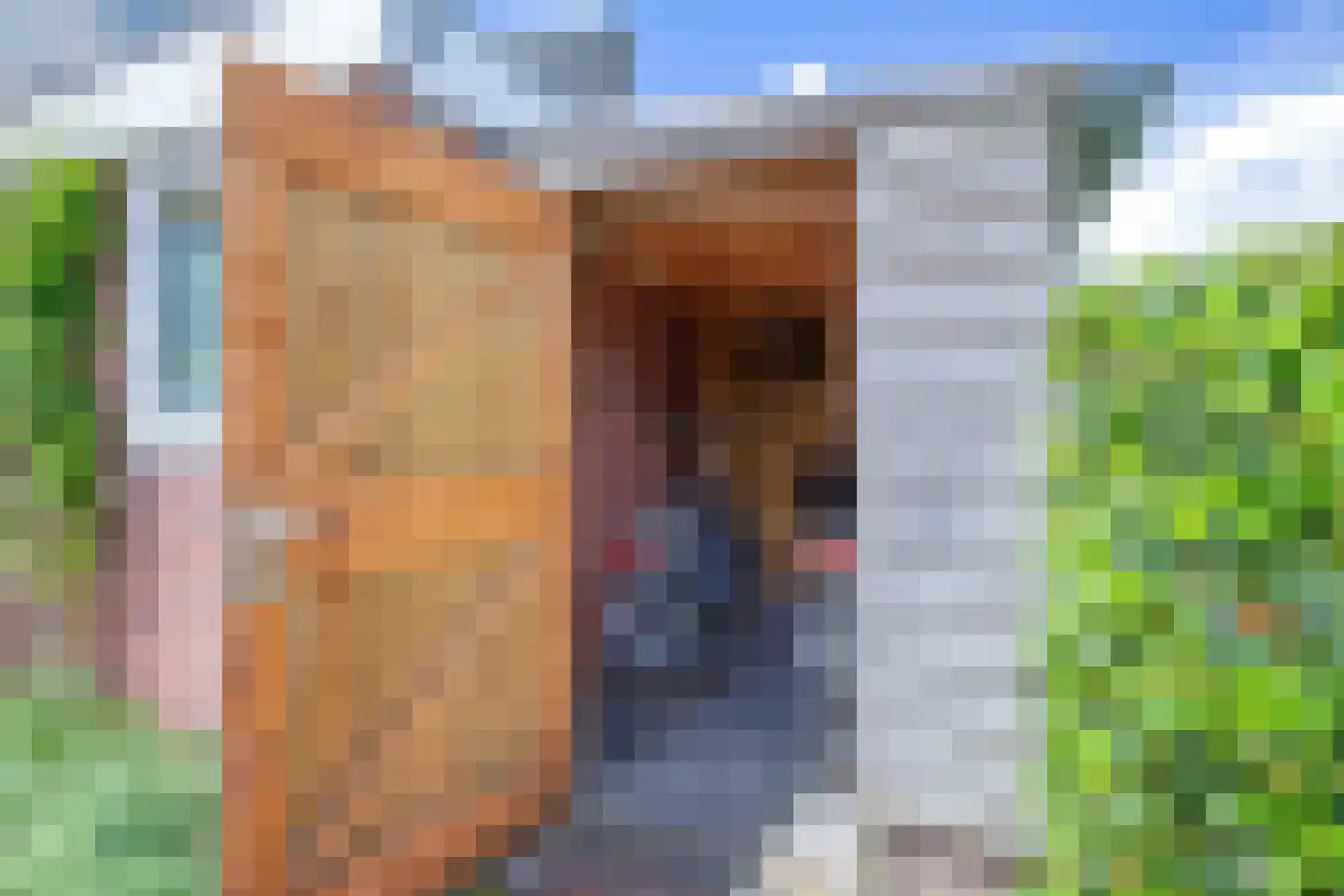 Schoorwal 9 Den Burg thumbnail 32