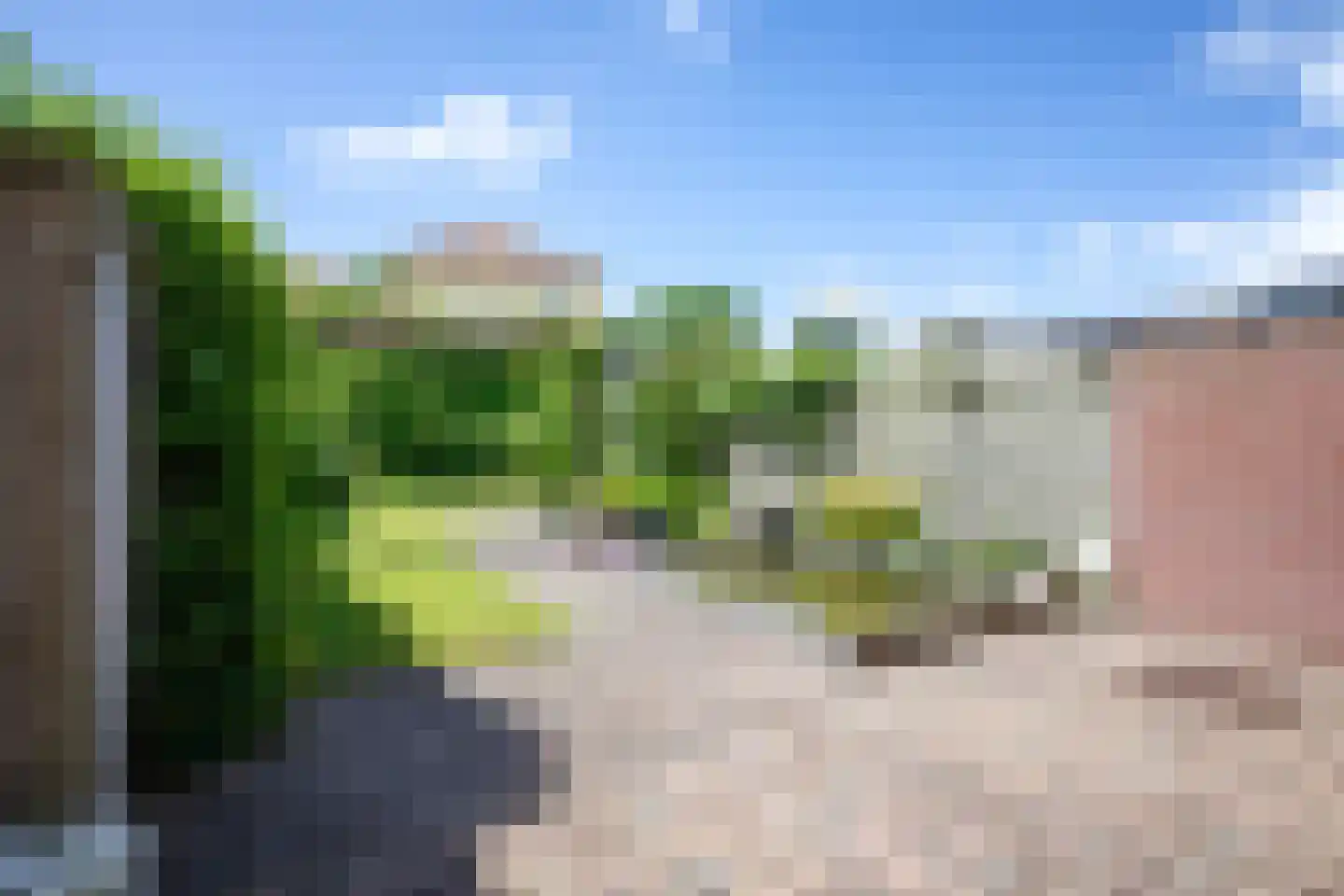 Schoorwal 9 Den Burg thumbnail 36
