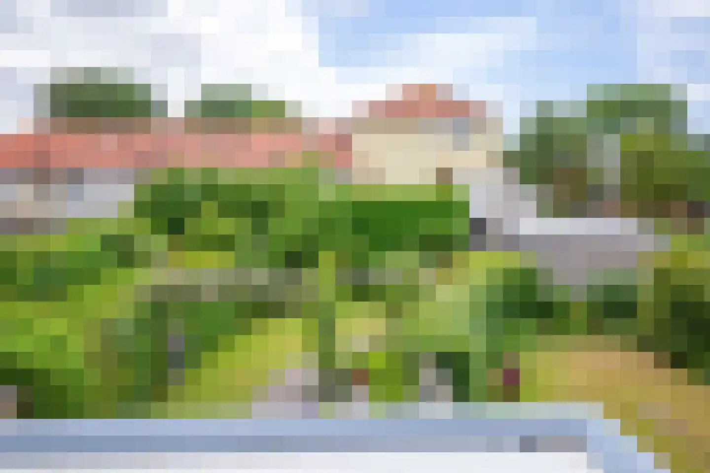 Schoorwal 9 Den Burg thumbnail 40