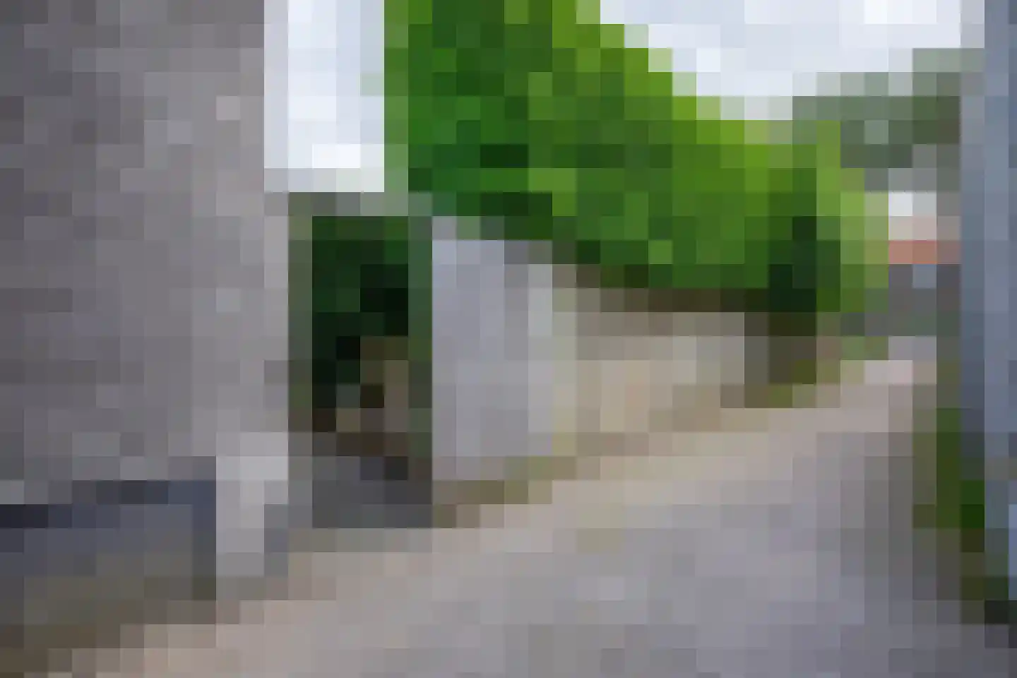 Schoorwal 9 Den Burg thumbnail 41