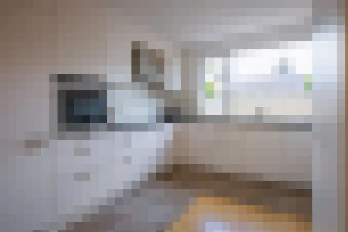 Schoorwal 9 Den Burg thumbnail 9