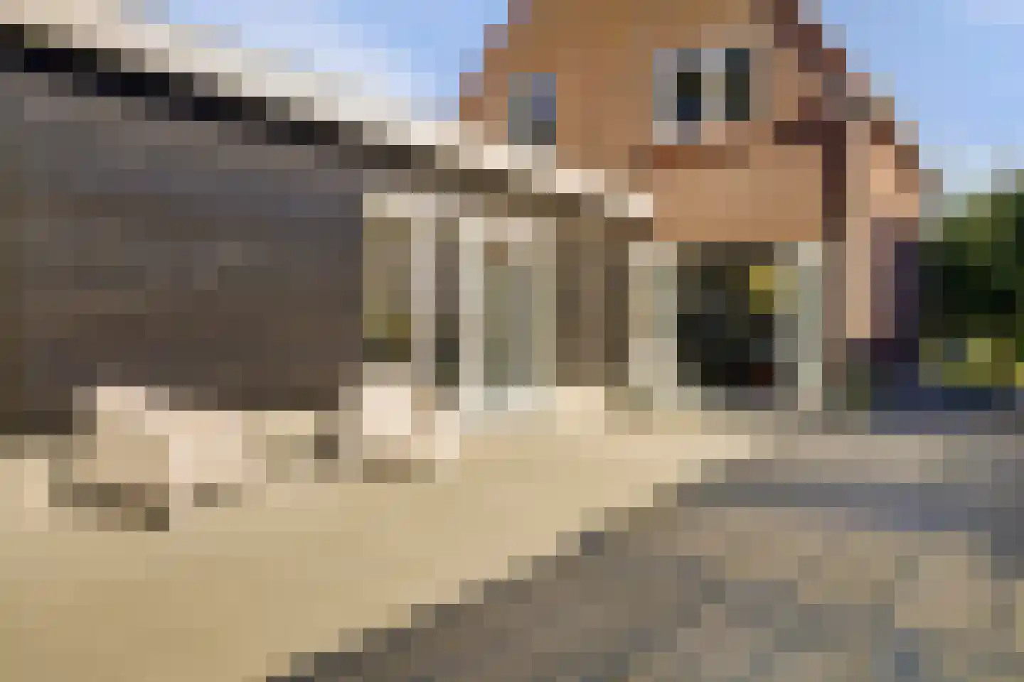 Schoorweg 24 Papendrecht thumbnail 28