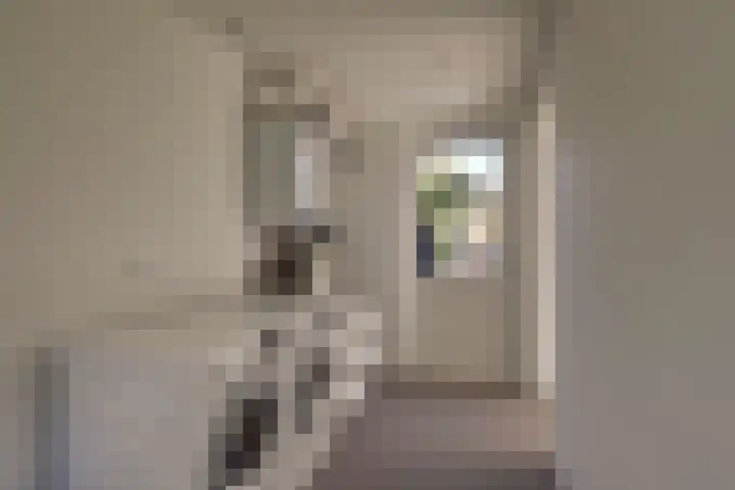 Schoorweg 24 Papendrecht thumbnail 31