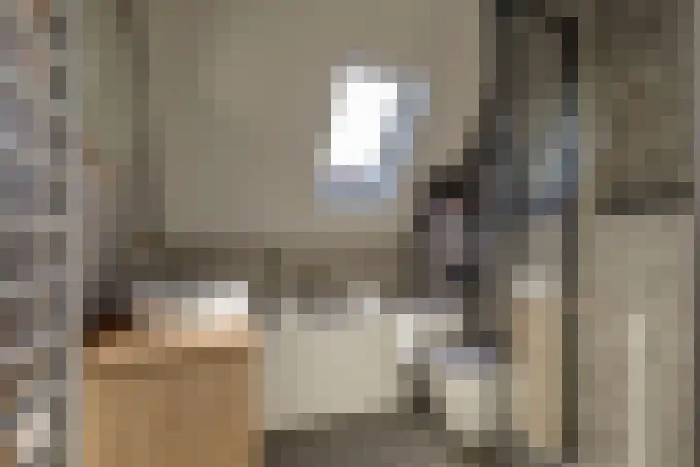 Schoorweg 24 Papendrecht thumbnail 39