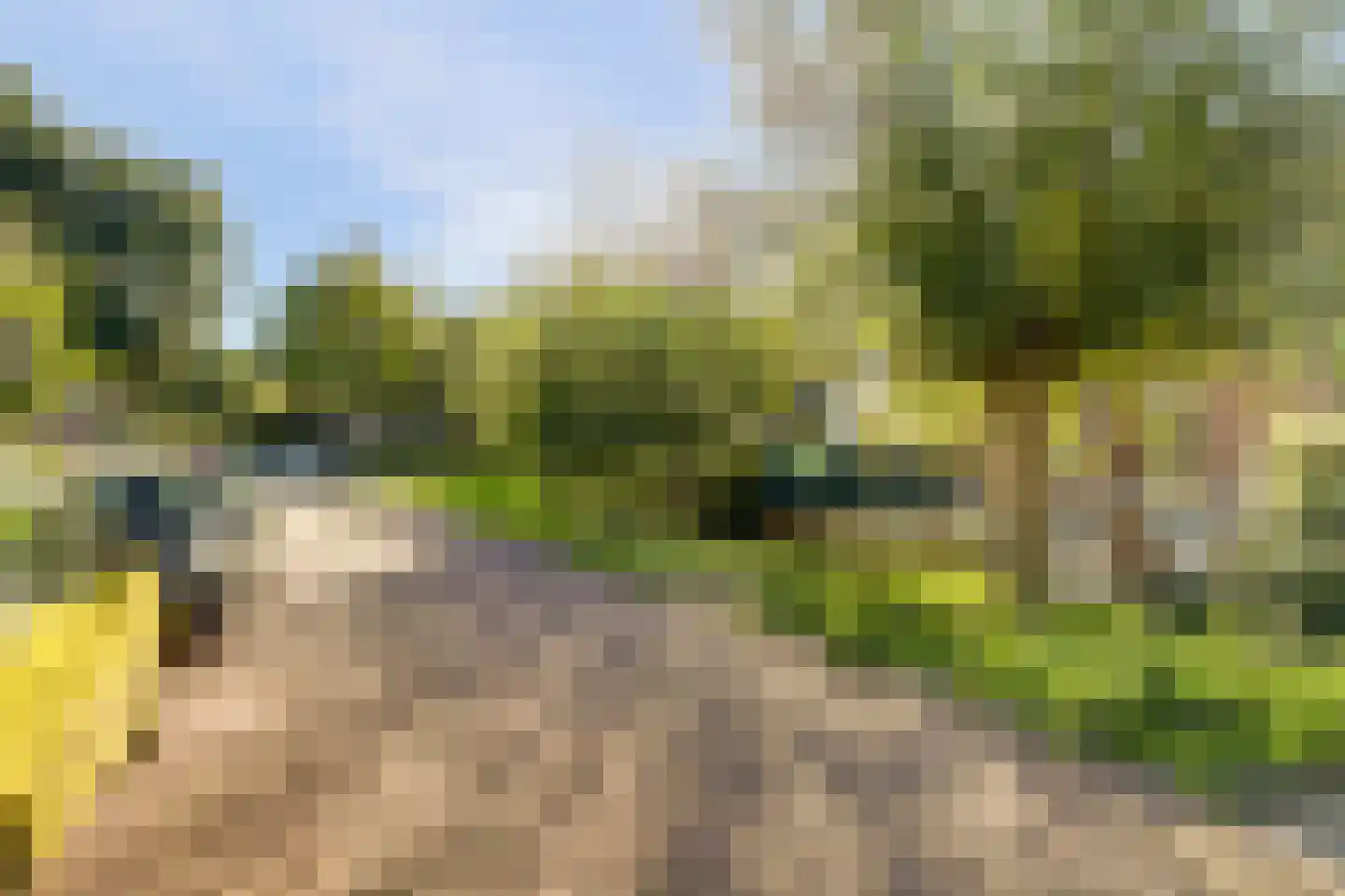 Schoorweg 24 Papendrecht thumbnail 46