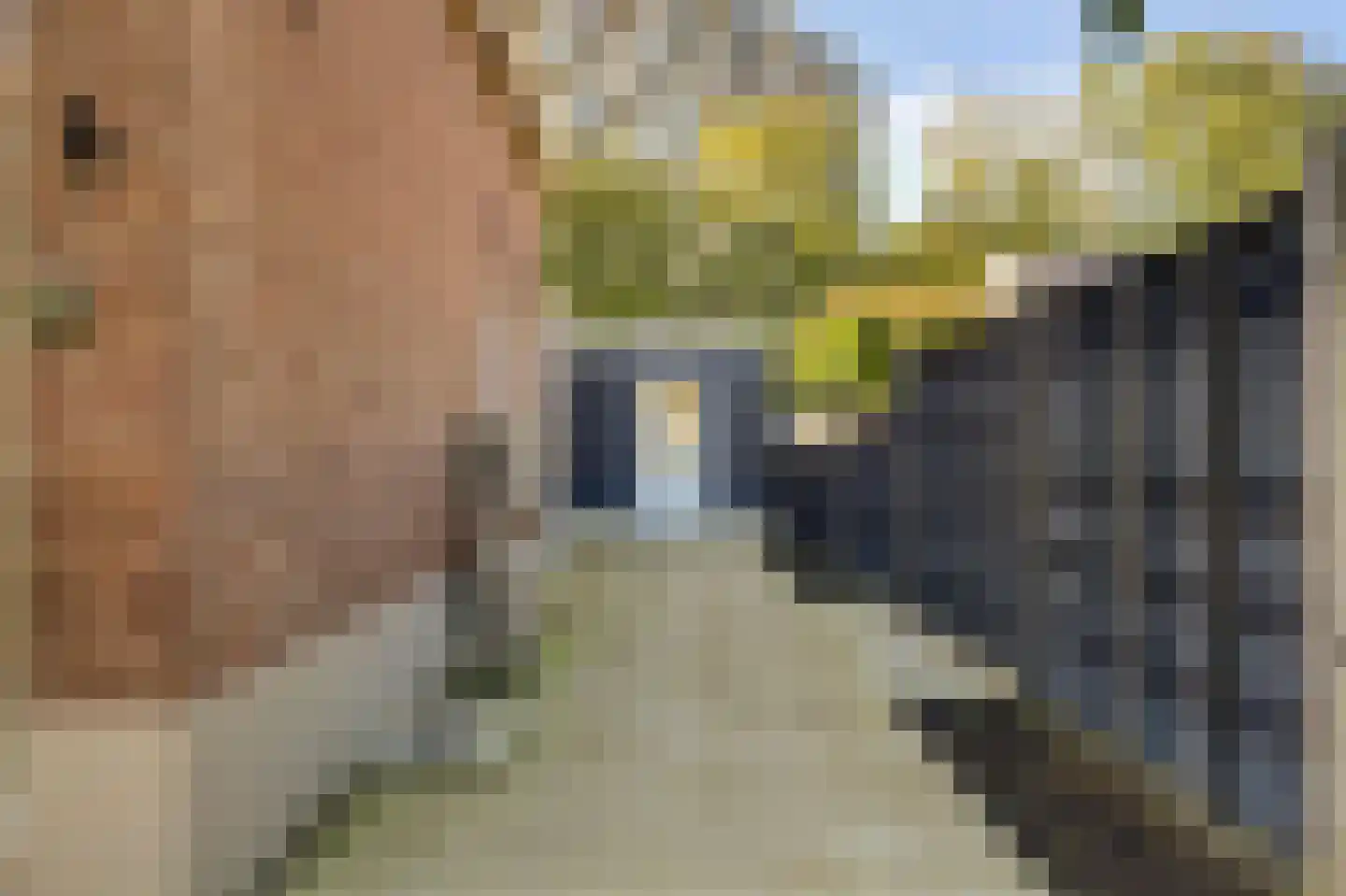 Schoorweg 24 Papendrecht thumbnail 48
