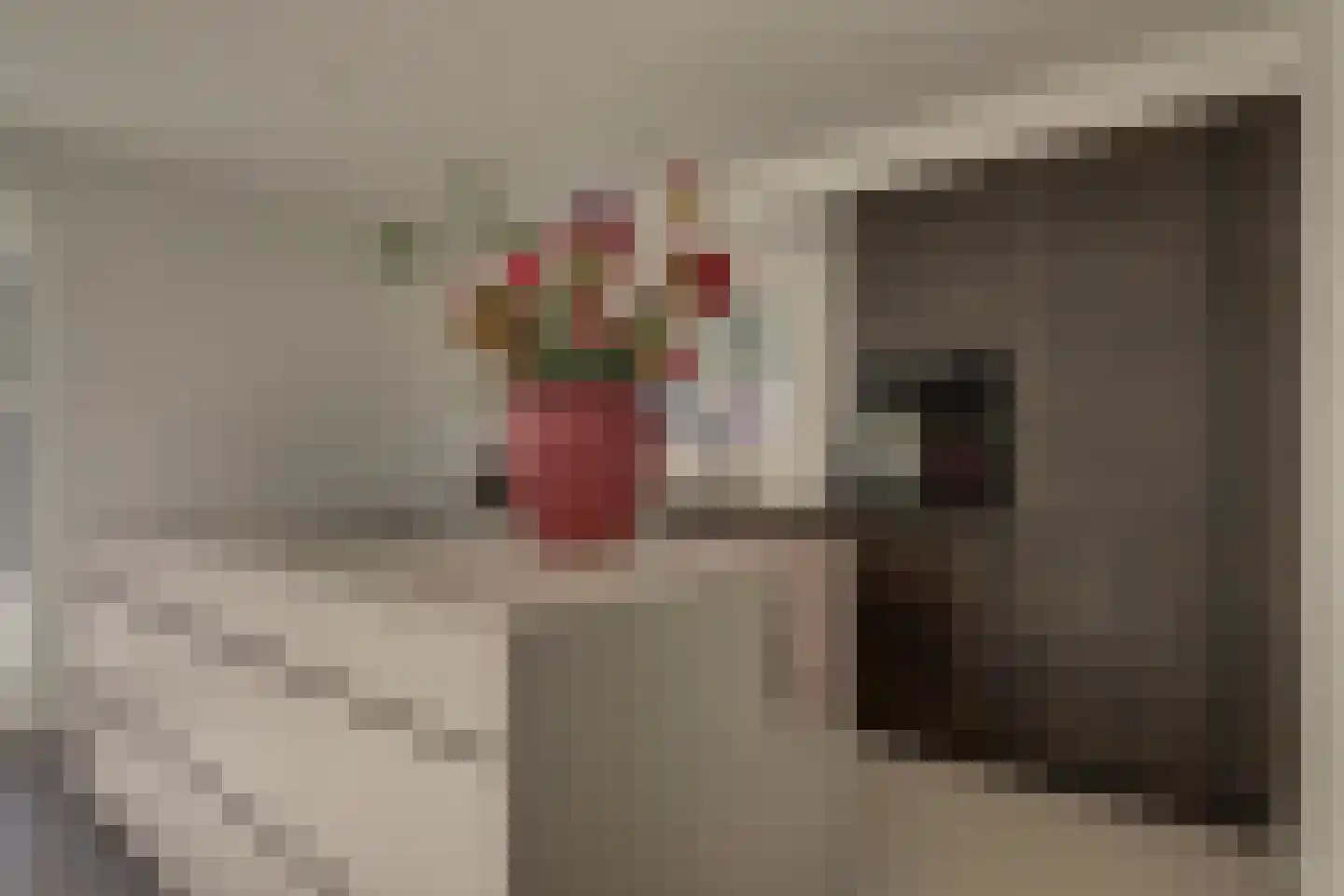 Schoorweg 24 Papendrecht thumbnail 5