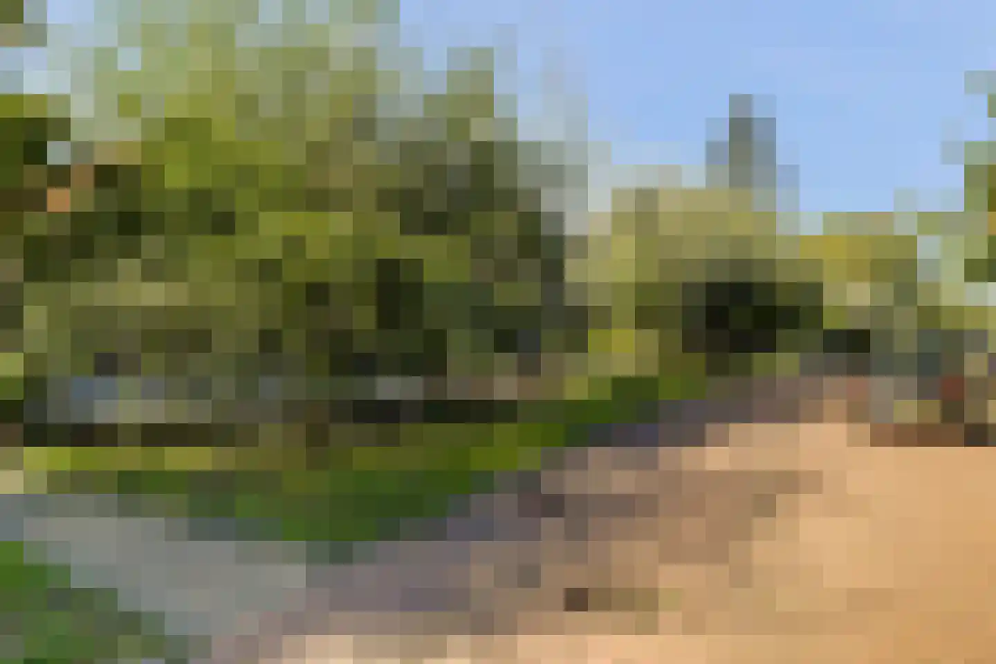 Schoorweg 24 Papendrecht thumbnail 52