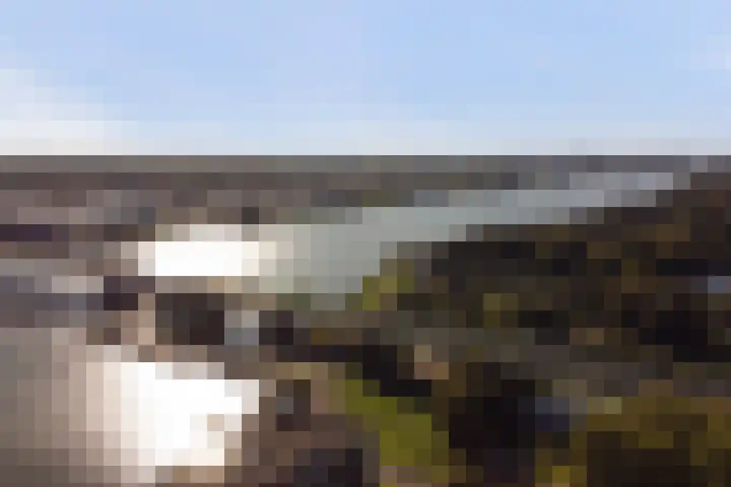 Schoorweg 24 Papendrecht thumbnail 54