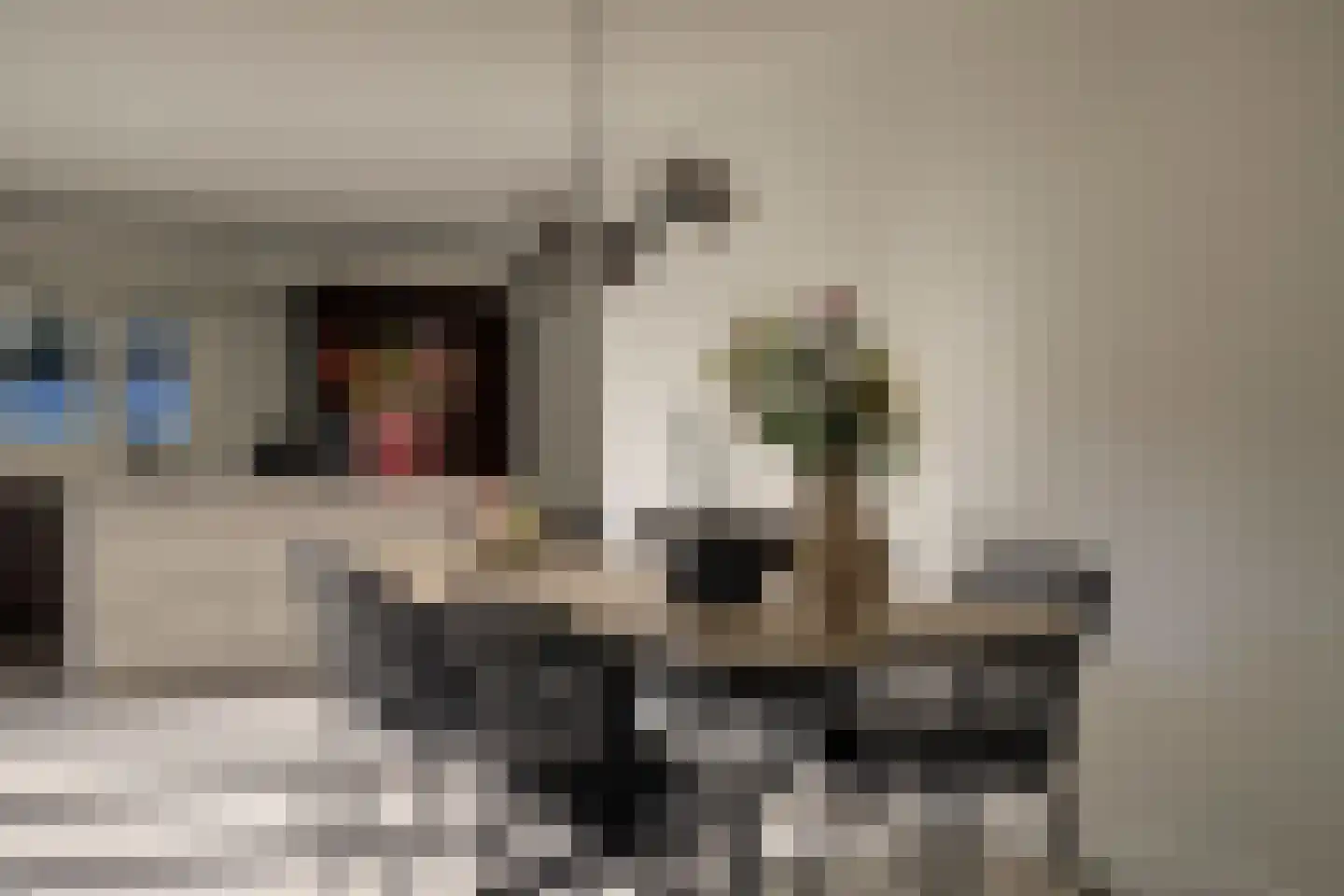 Schoorweg 24 Papendrecht thumbnail 7