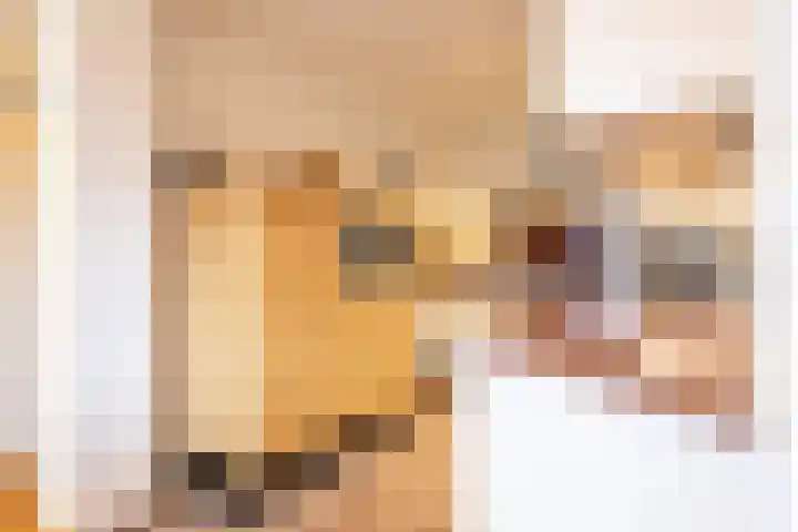 Schoorweg 7 Urmond thumbnail 17
