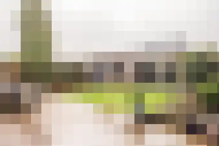 Schoorweg 7 Urmond thumbnail 39