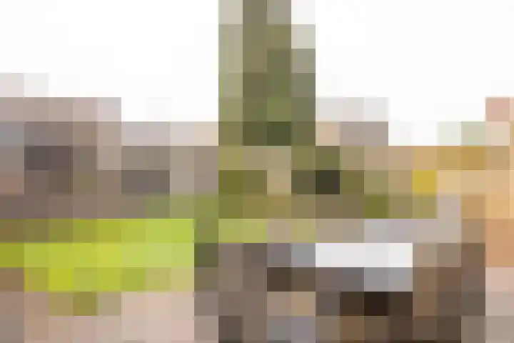 Schoorweg 7 Urmond thumbnail 40