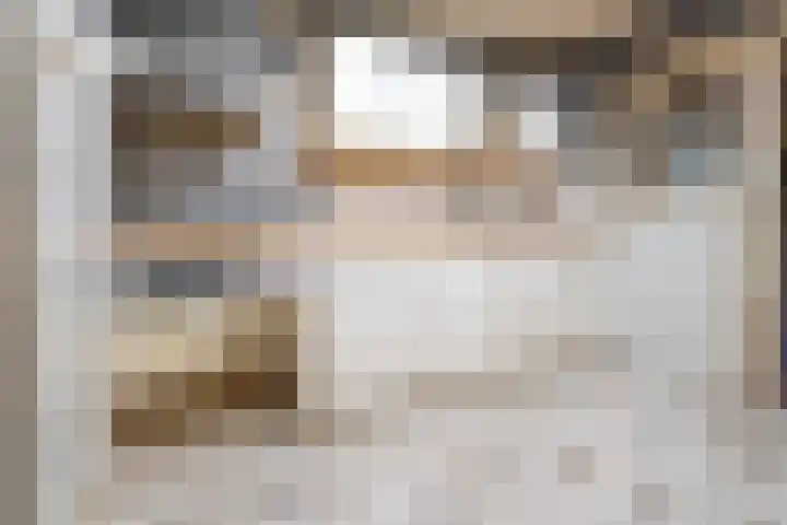 Schootakkerstraat 41 Chaam thumbnail 10