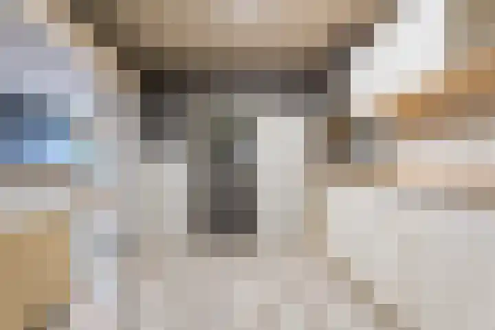 Schootakkerstraat 41 Chaam thumbnail 13