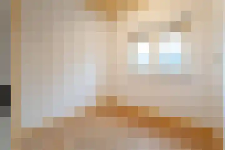 Schootakkerstraat 41 Chaam thumbnail 24