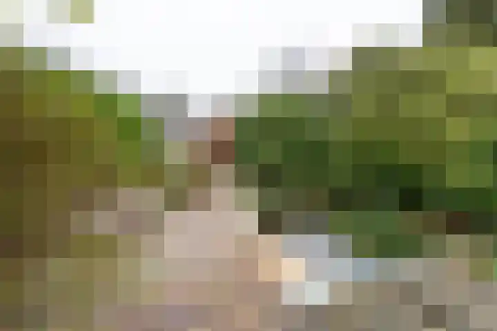 Schootakkerstraat 41 Chaam thumbnail 28