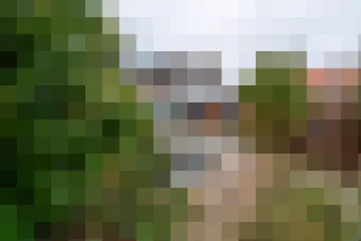 Schootakkerstraat 41 Chaam thumbnail 4