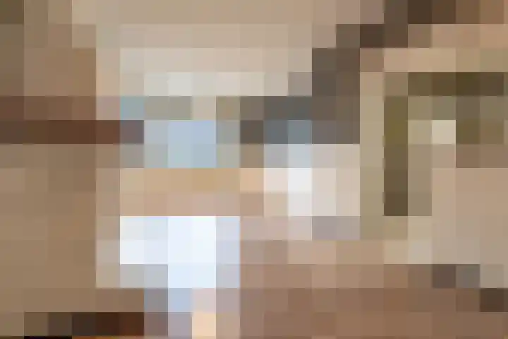 Schootakkerstraat 41 Chaam thumbnail 9