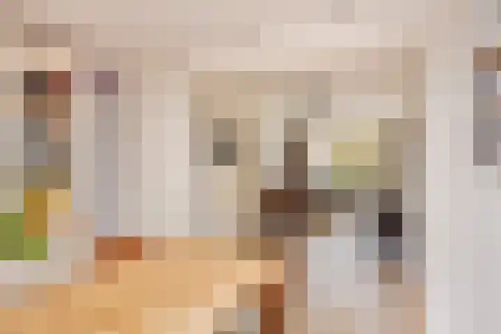 Schootakkerstraat 45 Chaam thumbnail 12