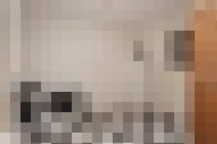 Schootakkerstraat 45 Chaam thumbnail 13
