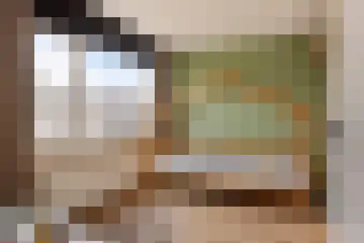 Schootakkerstraat 45 Chaam thumbnail 15