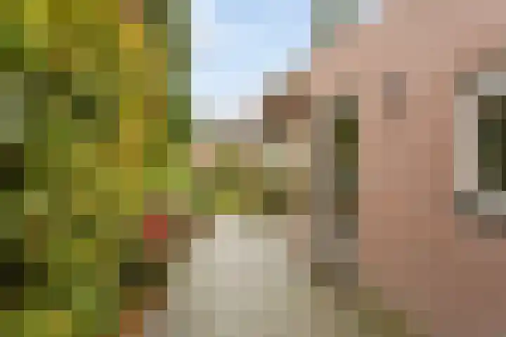 Schootakkerstraat 45 Chaam thumbnail 20