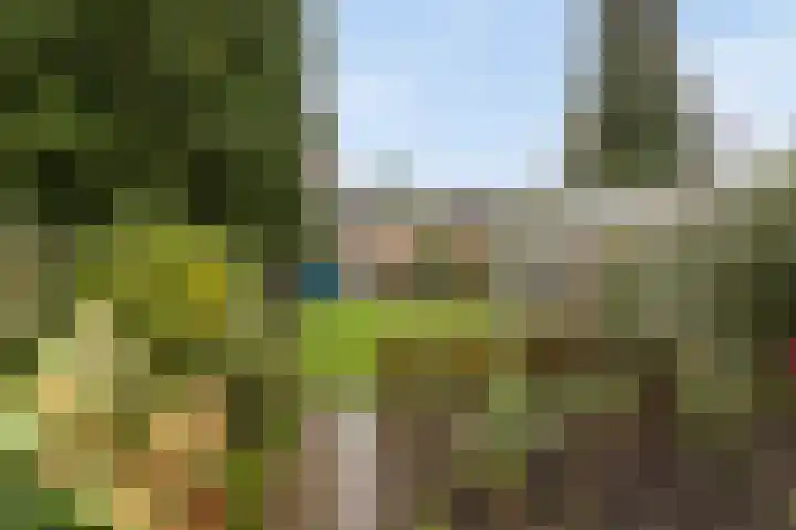 Schootakkerstraat 45 Chaam thumbnail 22