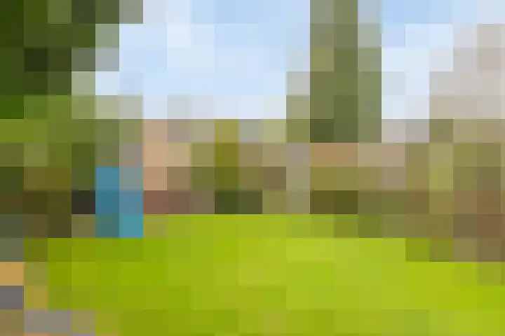 Schootakkerstraat 45 Chaam thumbnail 23