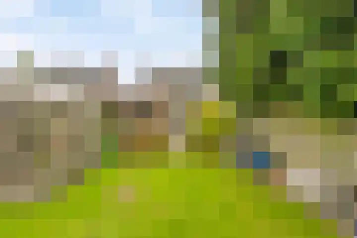 Schootakkerstraat 45 Chaam thumbnail 24