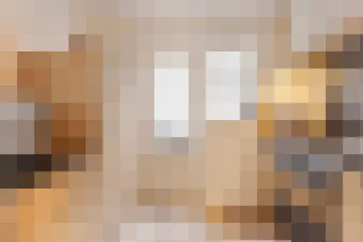 Schootakkerstraat 45 Chaam thumbnail 5