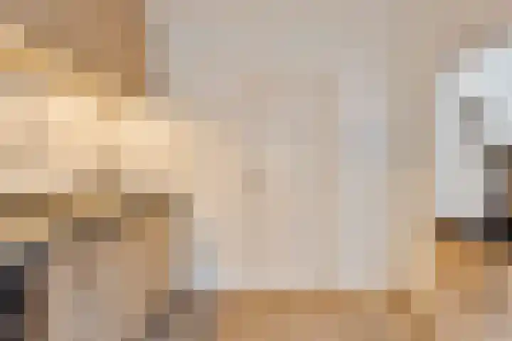 Schootakkerstraat 45 Chaam thumbnail 7
