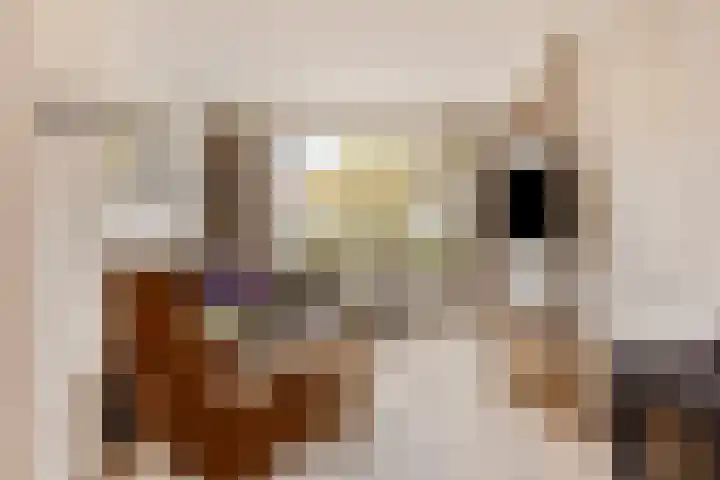 Schootakkerstraat 45 Chaam thumbnail 8
