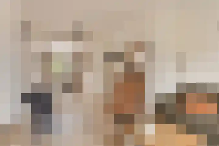 Schootakkerstraat 45 Chaam thumbnail 9