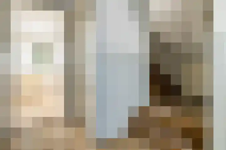Schootakkerstraat 59 Chaam thumbnail 11