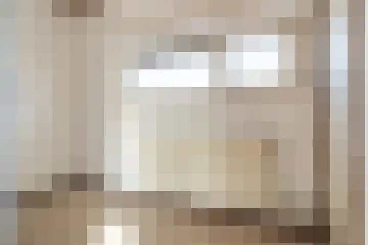 Schootakkerstraat 59 Chaam thumbnail 15