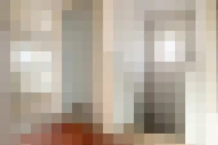 Schootakkerstraat 59 Chaam thumbnail 18
