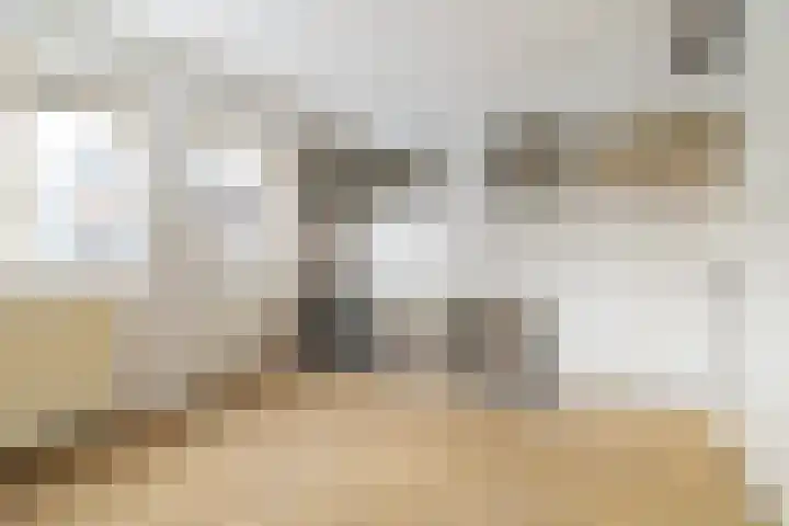 Schootakkerstraat 59 Chaam thumbnail 8