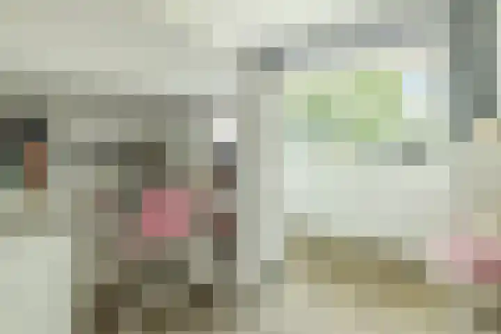 Schootanker 11 Nieuwkoop thumbnail 19