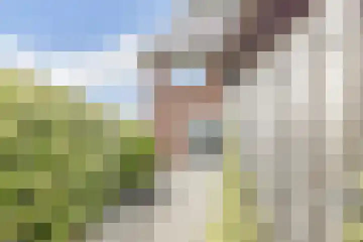 Schootanker 11 Nieuwkoop thumbnail 31