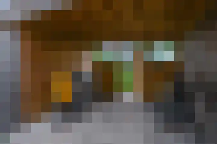 Schootanker 17 Nieuwkoop thumbnail 40