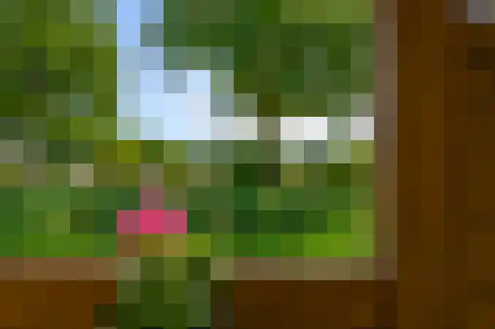 Schootanker 17 Nieuwkoop thumbnail 41