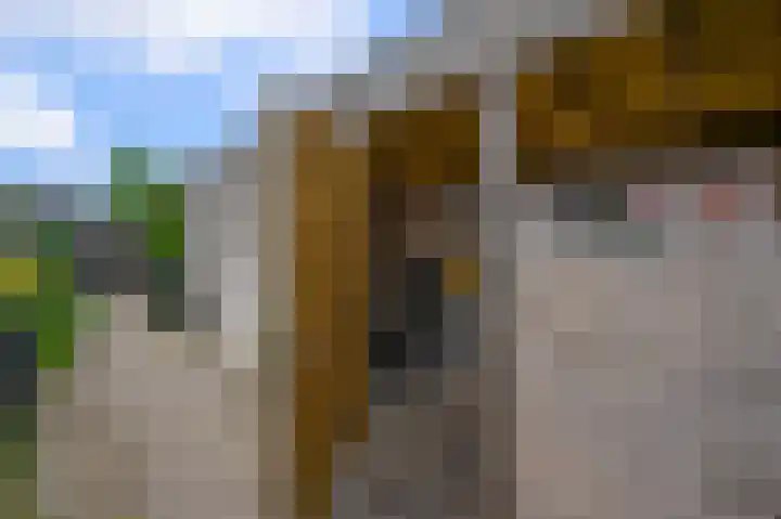 Schootanker 17 Nieuwkoop thumbnail 42