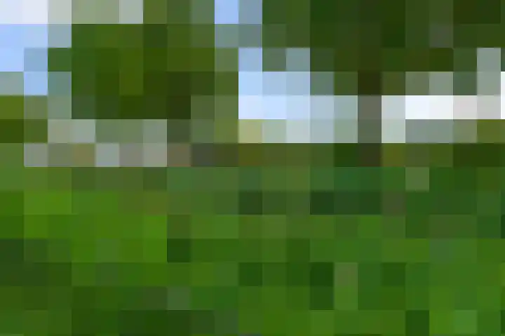 Schootanker 17 Nieuwkoop thumbnail 43