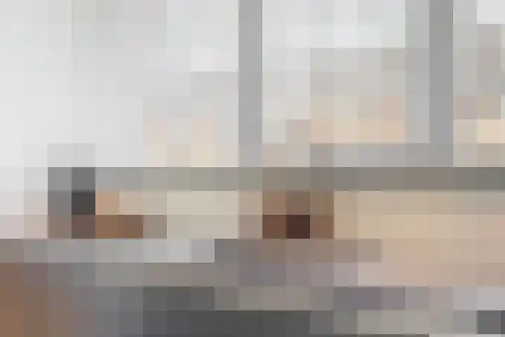 Schootanker 19 Nieuwkoop thumbnail 12