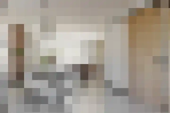 Schootanker 19 Nieuwkoop thumbnail 13