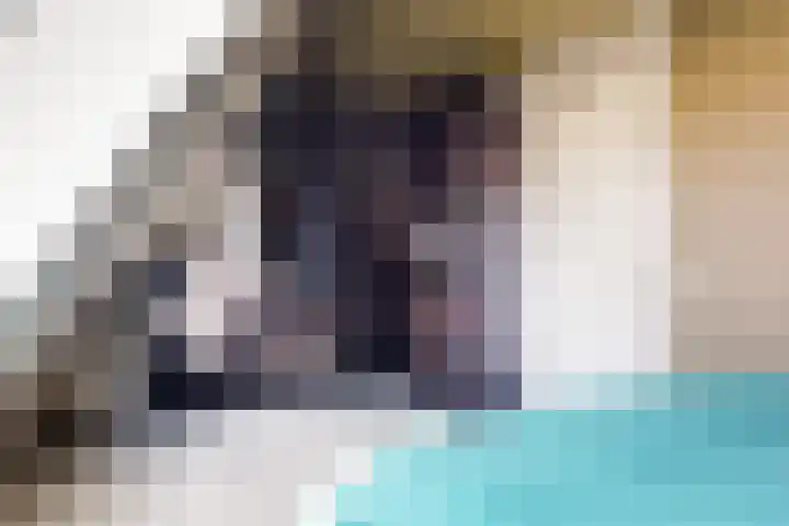 Schootanker 19 Nieuwkoop thumbnail 18